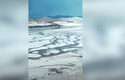 Буря покри със сняг пясъчни дюни в Саудитска Арабия