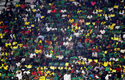 Инцидент със загинали помрачи победа на Камерун в Купата на африканските нации