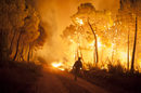 Горските пожари в Испания обаче бяха наистина опустошителни. Двама пожарникари загинаха, а хиляди бяха евакуирани заради вълната горски пожари в Аликанте, Канарските острови, Галисия и Сиудад Реал.<br /><br />Пожарът на Канарските острови доведе до евакуацията на над 4700 души. Огънят на Гомера засегна около една десета от горите на острова или 4000 хектара.<br /><br />Близо 600 хектара са изгорели в региона на Аликанте. Високите температури силно затрудниха гасенето.<br />