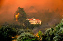 Гърция също попадна в капана на огнена стихия. Традиционно през месец август в страната избухват много горски пожари. Тази година те достигнаха покрайнините на <a href="http://www.dnevnik.bg/sviat/2012/08/25/1894716_gorski_pojar_blizo_do_atina_zaplashva_voenen_obekt/">Атина</a>.<br /><br />В разгара на пожара на остров Хиос огънят е бил с фронт от около 25 километра.<br /><br />Беше задействан Механизма на Европейския съюз за гражданска защита при гасенето на пожарите в региона Южна Атика, като 39 минути след сигнала беше получена първата помощ.<br /><br />През 2007 г. пожарите отнеха живота на повече от 60 души.