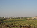 Съвсем наблизо от йорданска страна са някои от най-плодородните земи в района, в които се вадят по четири реколти годишно от всякакви зеленчуци и плодове. На снимката: поле с банани.