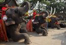 Водачи на слонове по време на молитва на Националния ден на слона, който отбелязват в древната тайландска столица Аютая.