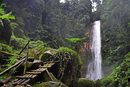 Дори най-дългият и труден преход е оправдан след като завършва с толкова величествен 40-метров водопад, сгушен дълбоко в планината. Прекрасните места като това в Индонезия са хиляди. Точно това обаче, както и много други, понякога са слабо известни, дори за местните жители в региона.
