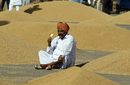 Земеделски производител похапва сладолед, докато чака да продаде пшеницата си на зърнения пазар в северния индийски град Чандига.