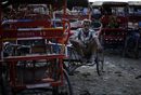 Водач на рикша почива след работния ден на брега на река Ямуна, в стария квартал на Делхи, Индия.