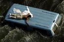 Мъж се спасява на покрива на микробуса си в Ню Орлийнс на 4 септември 2005 г., след като ураганът "Катрина" опустоши града. 