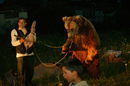 Преди 15 години фондация "Четири лапи" и фондацията на Бриджит Бардо си поставят амбициозната цел всички танцуващи мечки в България да бъдат спасени. Заедно двете организации не само успяват да я постигнат, но и построяват един парк, който предлага на животните условия на живот близки до естествената им среда.<br />
<br />
Повечето хора израснали в България имат спомен за танцуващите мечки. Те бяха често срещана гледка по Черноморието. Мъже с цигулки и привидно танцуващи диви животни обикаляха редовно и по-отдалечени места в страната, като се появяваха по един или два пъти годишно във всеки град.