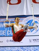 В състезанията за Световната купа по спортна гимнастика и акробатика във Варна участват 1000 участници от 37 държави.