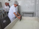 Докато гледаме как се сири овечто сирене, Стоилко Апостолов казва, че все повече качествени автентични млечни продукти, съхранили българския вкус и произведени по традиционна технология, достигат пряко до потребителите и носят добри доходи на малките производители и семейните ферми в районите от Натура 2000 в Западен и Централен Балкан.<br />
<br />
"Целта ни е създаването на по-добра среда за развитие на фермерите и местните бизнеси, така че екологичните им продукти и услуги да получат по-висока цена чрез подобрено качество и маркетинг, а приходите им да нараснат с поне 15 %"."