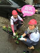 В София партия ДЕОС излезе с атрактивна инициатива - запълване на дупки по улиците и тротоарите с цветя около района на обръщалото на трамвай номер 5 при Съдебната палата в центъра на София.