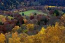 Есенни цветове в Римбах регион Елзас, Източна Франция.