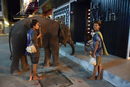 Слоновете в градска среда не са странност за Тайланд. Късно вечерта в Удон Тани тези деца са извели на разходка малките улички встрани от центъра младо слонче. Искат 20 бата за снимка с него от малцината, но пък силно ентусиазирани, туристи наоколо. <br /><br />Природозащитниците често надигат глас срещу отглеждането на слонове в градска среда и използването им за туристически цели. Повечето тайландци обаче имат оправдание за неотстъпчивостта си по въпроса. Слонът е свещено животно в Тайланд и в миналото много семейства са го отглеждали "така, както на Запад хората отглеждат коне".