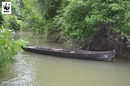 Сещате ли се за нещо по-романтично от дървена лодка в спокоен залив сред зелена растителност? Между другото, лодката е направена от вардимски дъб – прочут материал в лодкостроенето по Дунав.