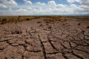 Боливия е засегната от най-тежката суша в последните 25 години. Снимката е от Ел Чоро.