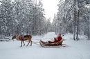 Туризмът в Лапландия е лъч светлина във финландската икономика, която се бори да се възстанови от дълъг застой.