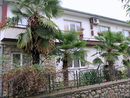 Съвременни охридски къщи с палми отпред.