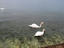 Тръгваме си, но в паметта ми ще остане завинаги споменът за Охрид и Охридското езеро.