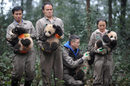 Гигантски панди бебета в базата в Яан, провинция Съчуан, Китай.