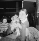 Американската актриса Одри Хепбърн с йоркширския си териер Чампано на летището в Рим, Италия на 23 януари 1958 г.