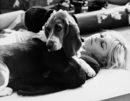 Френската актриса Брижит Бардо с кучето Бийтрут в Лондон на 14 септември 1966 г.
