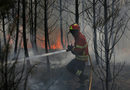 Медиите и жителите поставят под въпрос отговора, даден на бедствието от властите в страна, където всяка година има горски пожари.