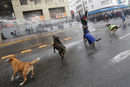 Полицията използва водни оръдия на протест на студенти за промяна в системата за висшето образование на страната в Сантяго, Чили.