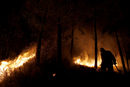 Пожарникар гаси горски пожар край село Макао, близо до Кастело Бранко, Португалия.