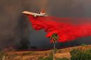 Самолет гаси <a href="http://www.dnevnik.bg/sviat/2017/10/10/3056811_poveche_ot_deset_sa_jertvite_na_pojarite_v_kaliforniia/" target="_blank">пожар в Ориндж, Калифорния,</a> САЩ на 9 октомври 2017 г.