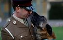 Британско военно куче, спасило живота на военнослужещи в Афганистан, получи орден за храброст,<br /><br />Осем-годишният Мали от породата белгийска овчарка беше отличен с медала "Дикин". Той се присъжда от благотворително ветеринарно дружество и се счита за еквивалента за животни на Викторианския кръст - най високото отличие за военна храброст.<br /><br />Орденът се присъжда от 1943 година и отличава куража на животни, служещи в армията, полицията и спасителните служби.<br />