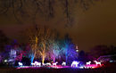 Светлинна инсталация, снимана в Палмовата градина във Франкфурт, Германия, по време на шоуто "Зимни светлини" .