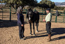 "Фернандо усеща реакцията на коня - той може да разбере дали съм се съсредоточила в момента, как се чувствам. Използва коня като водач, за да го уведоми как върви сесията", казва Лорето.