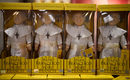Сувенирни кукли на папа Франциск в магазин в Дъблин, Ирландия.