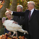 Американският президент Доналд Тръмп помилва пуйка, която няма да бъде сготвена за Деня на благодарността в Белия дом, Вашингтон, САЩ.