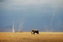 Кадър от Националния парк "Амбосели", Кения.