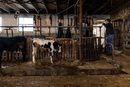 Синтия Лапсис, съсобственик на млекопреработвателната ферма EMMA Acres, обсъжда състоянието на млечните ферми с брат си Пол Бейли в Източен Гринуич, Роуд Айлънд.