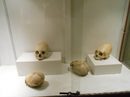 Ето и снимка от музея в Куско на същите черепи. Спирам. Всеки да си мисли. Има над какво. И да чете, щом му е интересно.