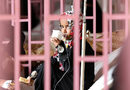 Момиче гледа през решетките на болничното си легло в Сана, Йемен.