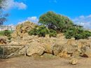 До руините на храма на Зевс се намира зона за поклонение, посветена на божества на плодородието като Деметра и Персефона.