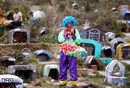 Мъж, облечен като клоун, продава машини за сапунени мехури в Деня на мъртвите на гробището в Лама в Ла Пас, Боливия.