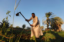 Земеделски производител обработва земя в село Комер, Египет.