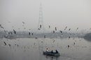 Мъглива сутрин в Делхи, Индия.