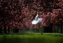 Балерина позира в парк в Париж, Франция.