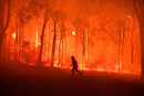 Пожарникар се опитва да защити училище от планински пожар в Австралия.