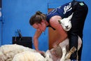 Кадър от Световното първенство по овцевъдство и вълна в Ле Дорат, Франция.