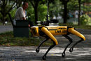 Четирикракият робот SPOT патрулира тестово в парк в Сингапур, преди да му бъде възложен контролът по спазването на дистанция от хората.