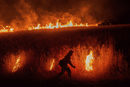 Огънят унищожи растителността на площ от около 2 кв мили.