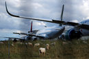 Овце пасат в близост до пътнически самолет A350, паркиран във фабриката на Airbus в Бланак, близо до Тулуза, Франция.