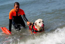 Обучението се провежда на плажа Рива дел Таркини, на час път северно от Рим. Там членовете на екипа, който се занимава с кучетата, се събират за тренировки.