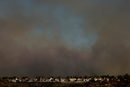 Дим се издига от пожар в Силверадо близо до езерото Форест, Калифорния, САЩ.
