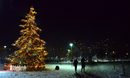 01.12.2020 - Коледната елха в парк Възраждане.